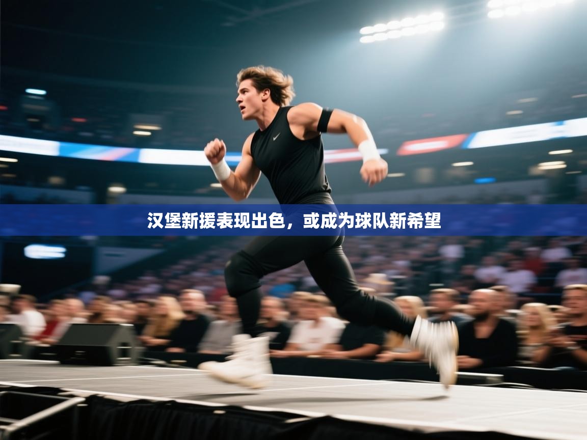 汉堡新援表现出色，或成为球队新希望  第1张