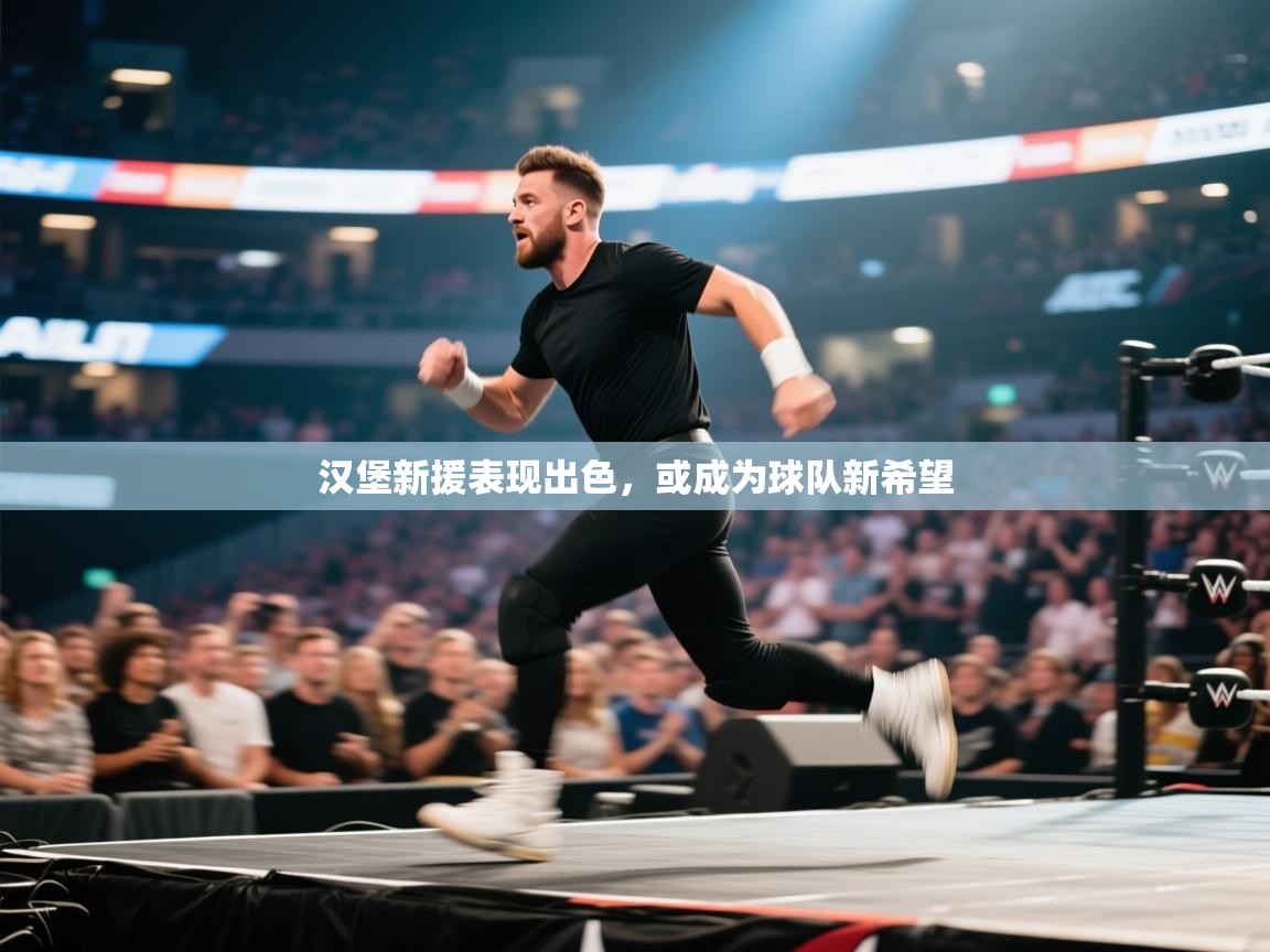 汉堡新援表现出色，或成为球队新希望  第2张